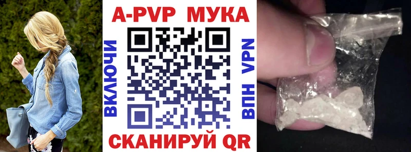 дарнет шоп  Осташков  A PVP СК 