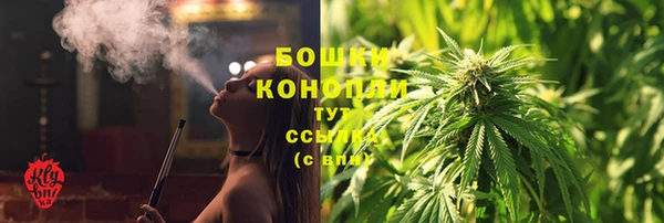 гидра Абаза