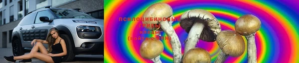 гидра Абаза