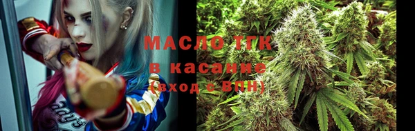 гидра Абаза